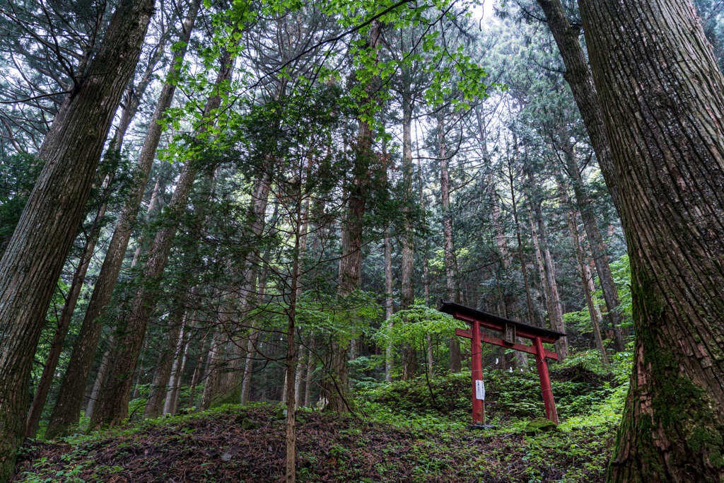 山の奥深く