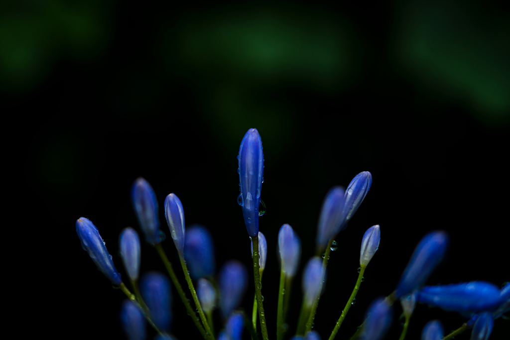 Upwards