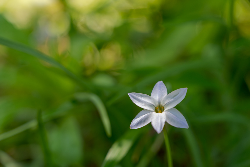 明るさを求めて