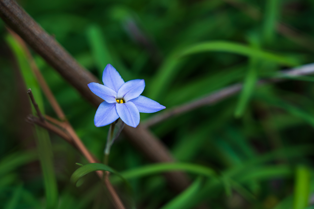 雑草の中で