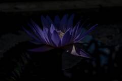 Dark Moment