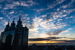 今朝の風景