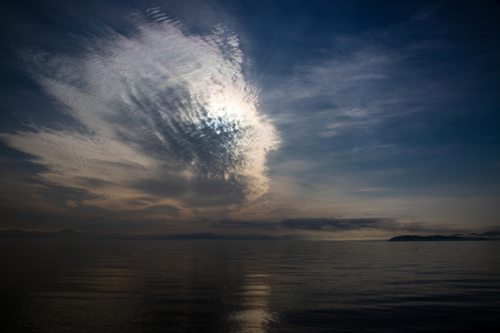 空飛ぶ魚顔