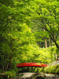 小京都の青紅葉