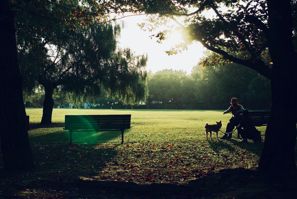 春日公園