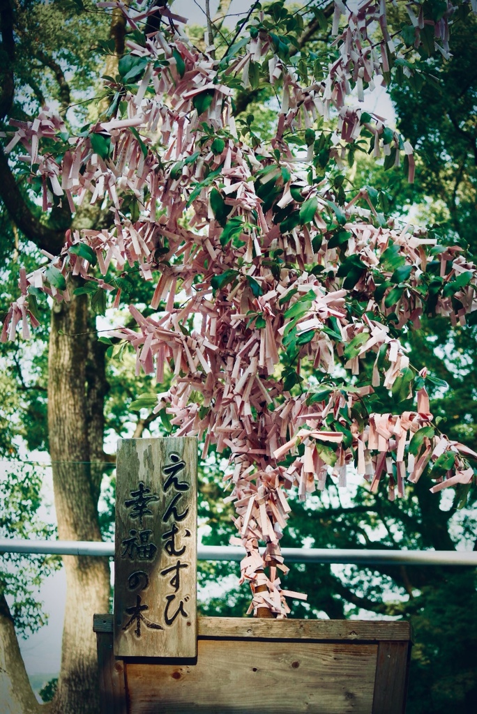 竈門神社