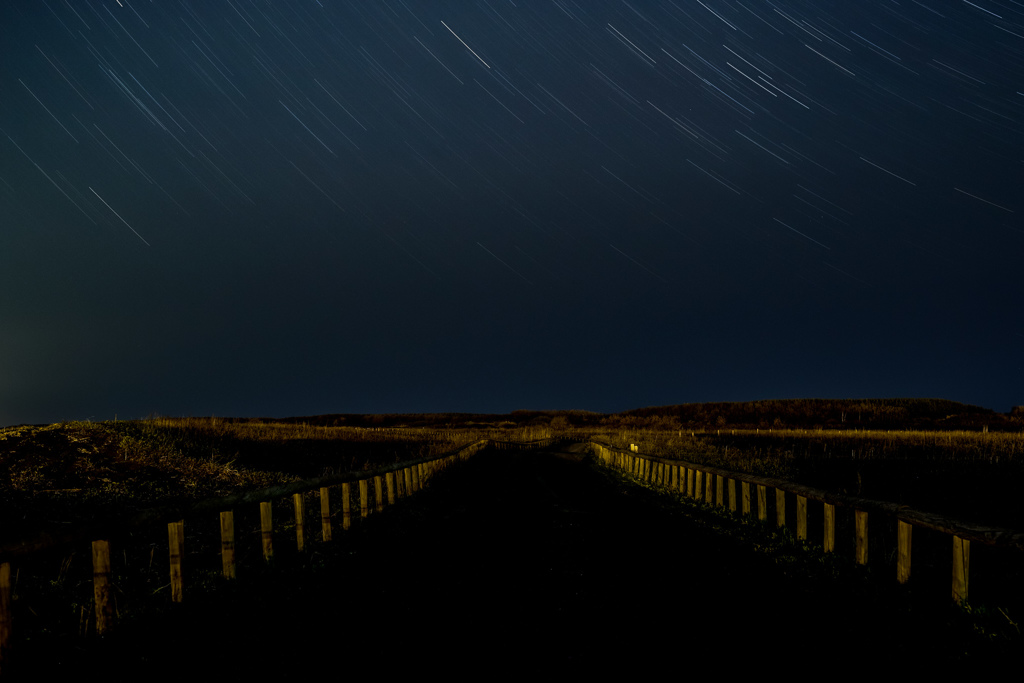 サロマ湖「ワッカ原生花園」にて