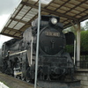 D51