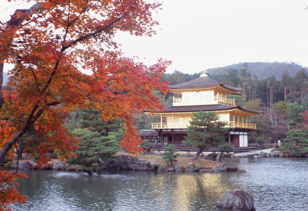 金閣寺と紅葉