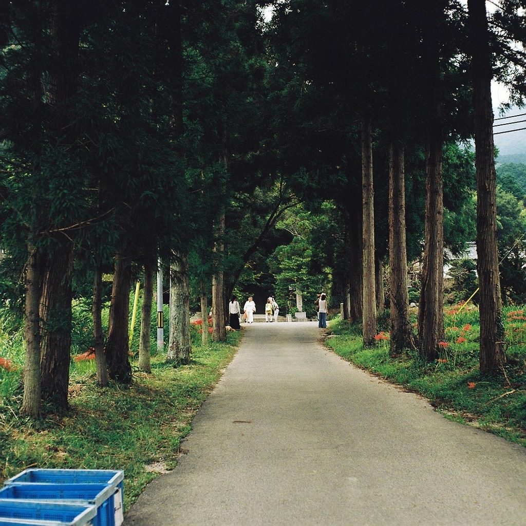 一言主神社へ続く