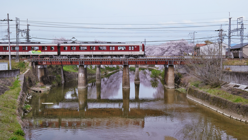 曽我川と近鉄電車と桜