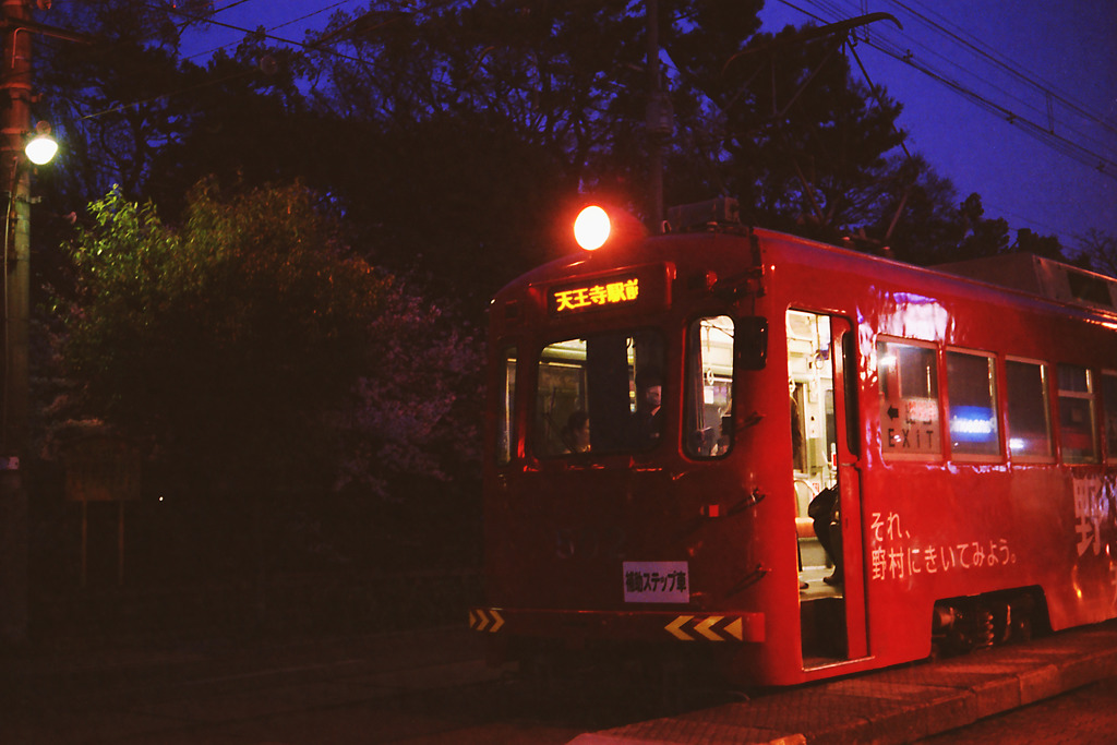 住吉大社　チンチン電車　桜の木