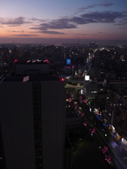 堺市の黄昏