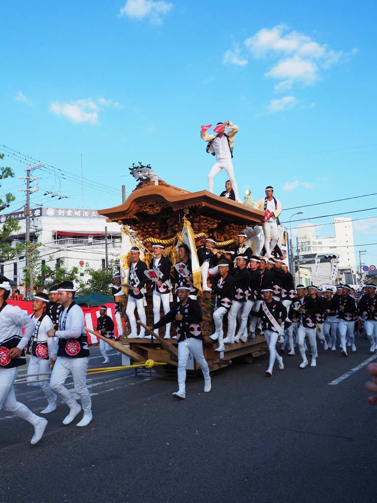岸和田だんじり祭り 5