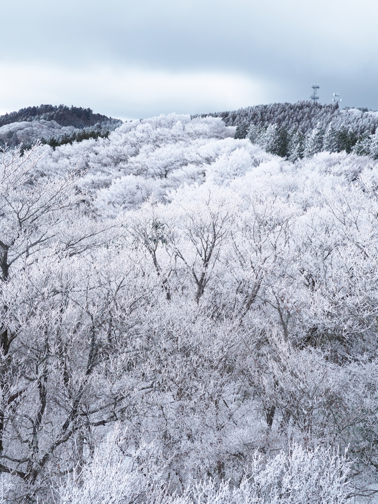 樹氷の世界７