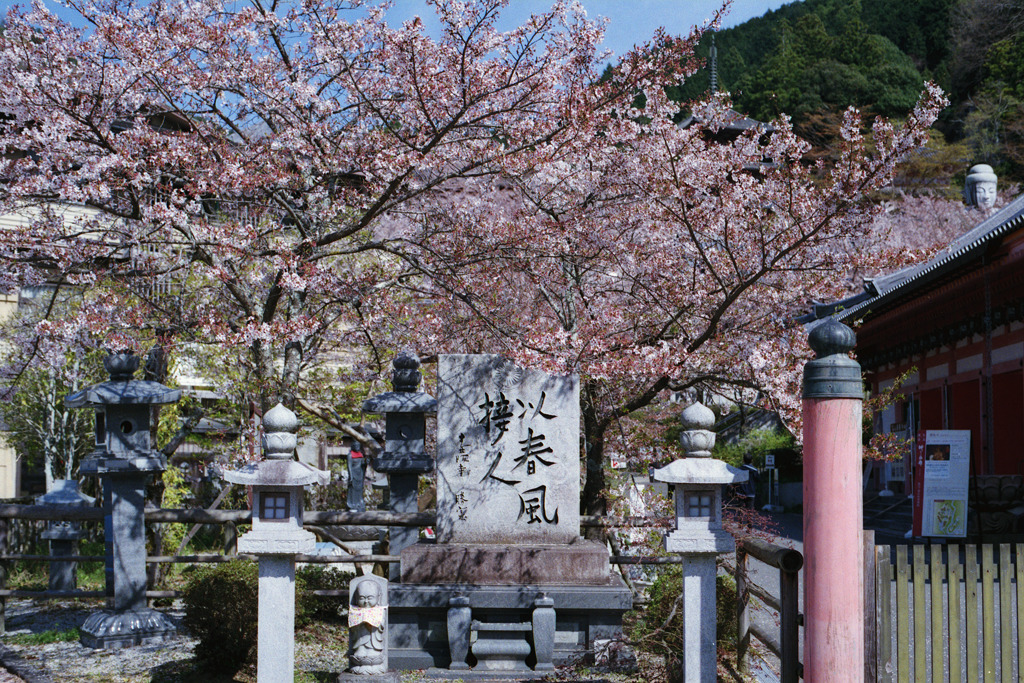 以春風接人