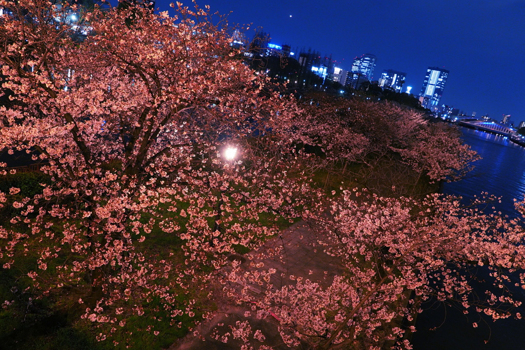 桜ノ宮 2