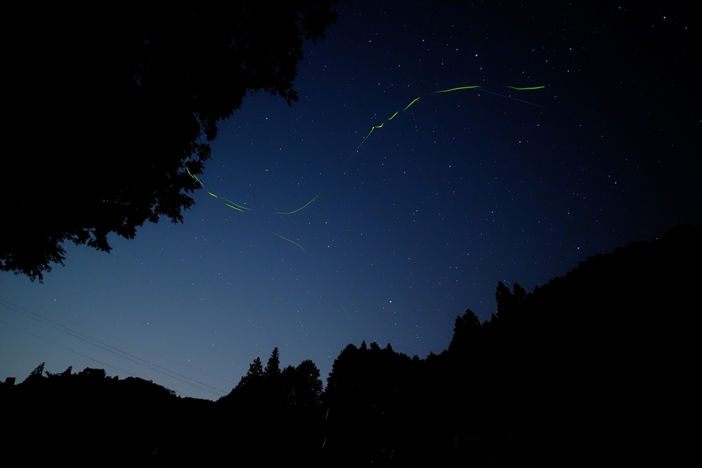 ホタルと星の海 ２