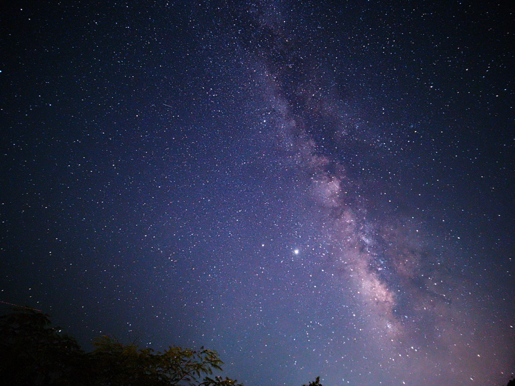 流星群を見たくて