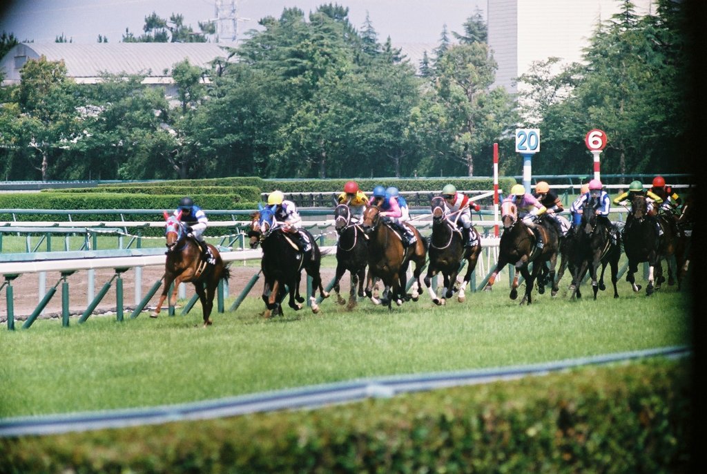 万馬のとどるき