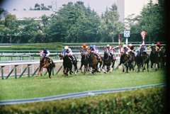 万馬のとどるき