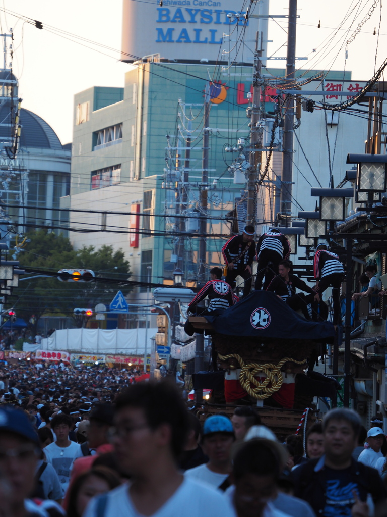 岸和田だんじり祭り 3