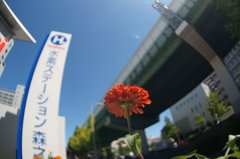 水素ステーションを見上げながら