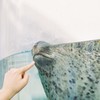 アザラシとの触れ合い