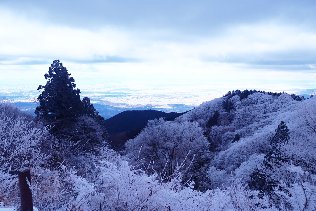 樹氷の世界６