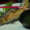 天然鮎の塩焼き