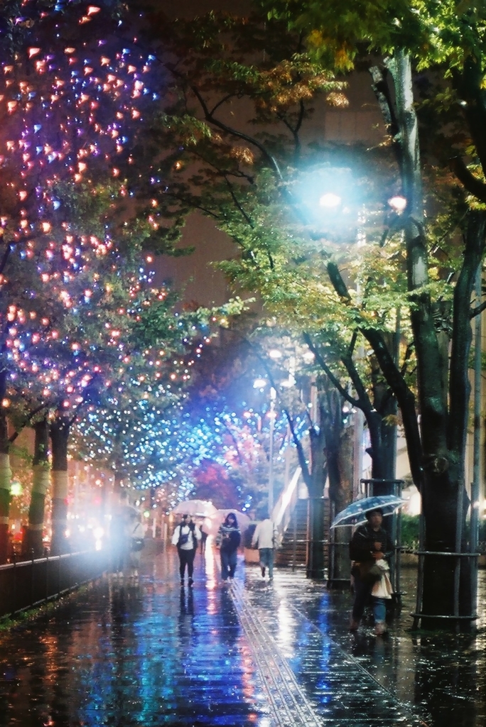 雨の夜のイルミネーション
