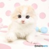 ナオタロウ
