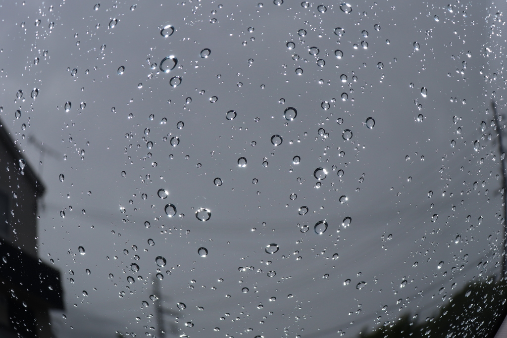 雨