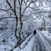 元日の雪〈貴船1〉