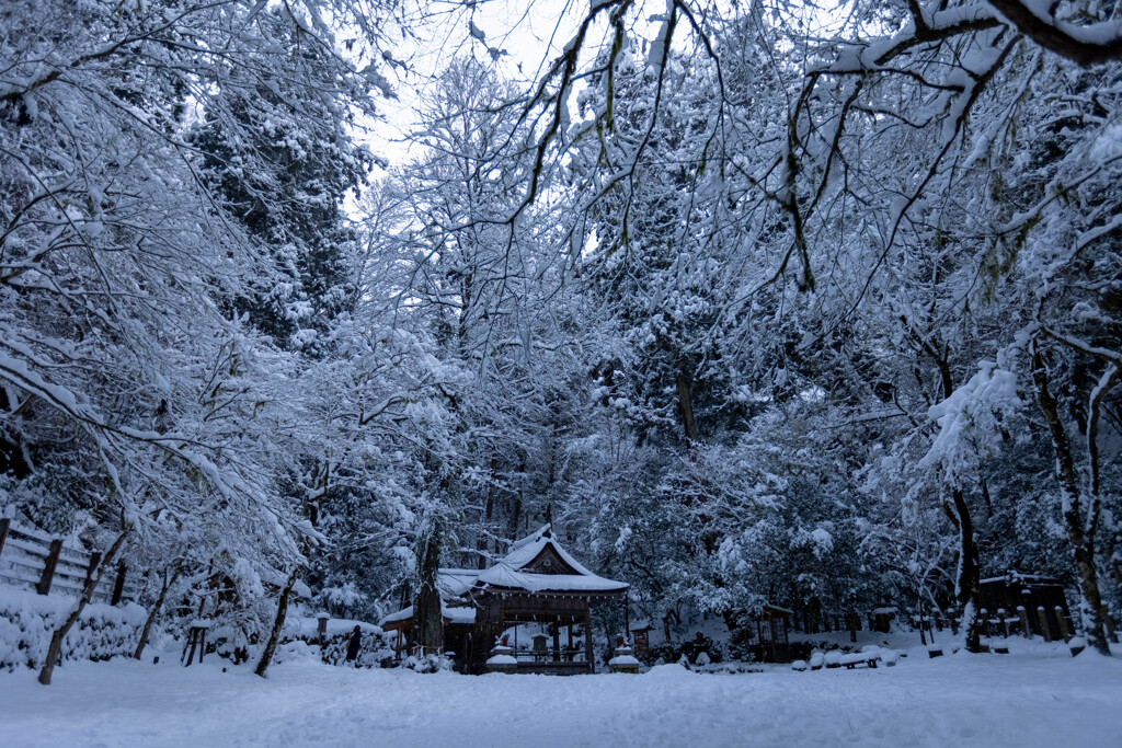 元日の雪〈貴船4〉