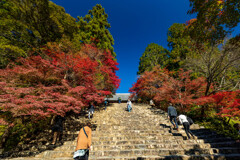 神護寺の秋　紅葉の大階段