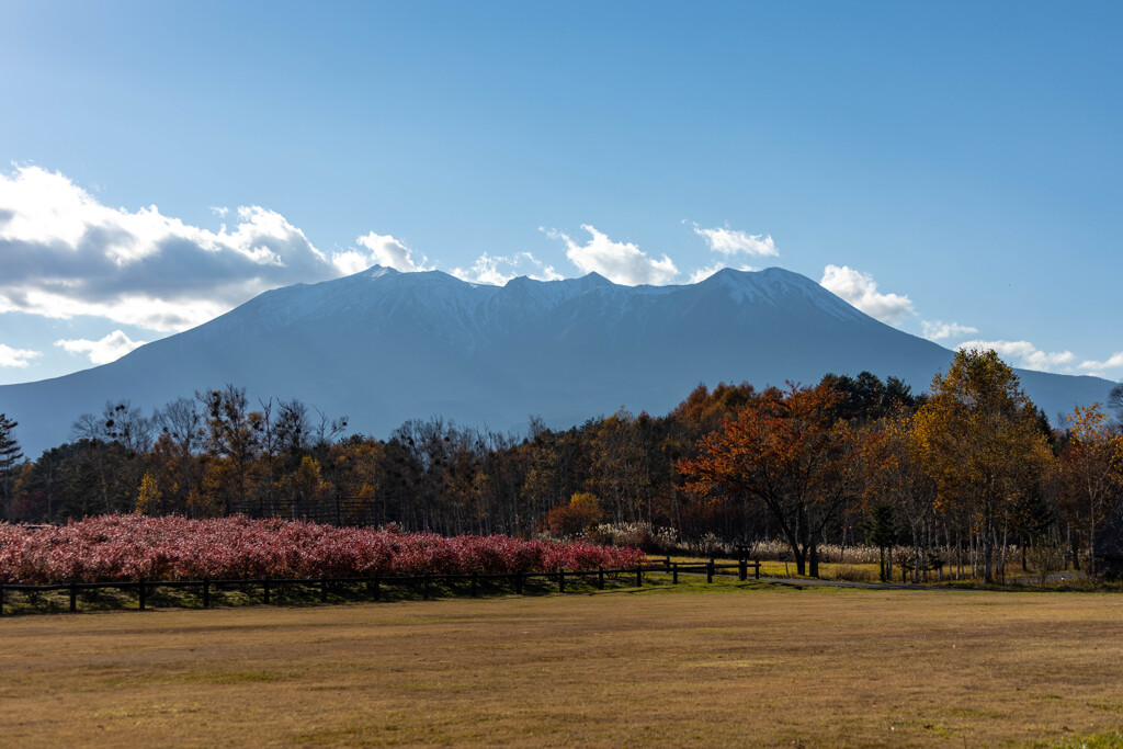 晩秋の開田高原