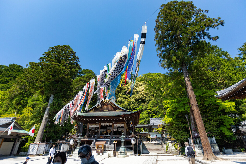 日牟禮神社の鯉のぼり