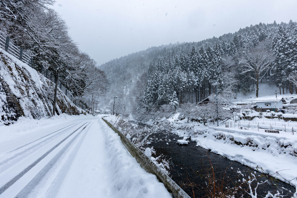 鯖街道の大雪（6）旧道