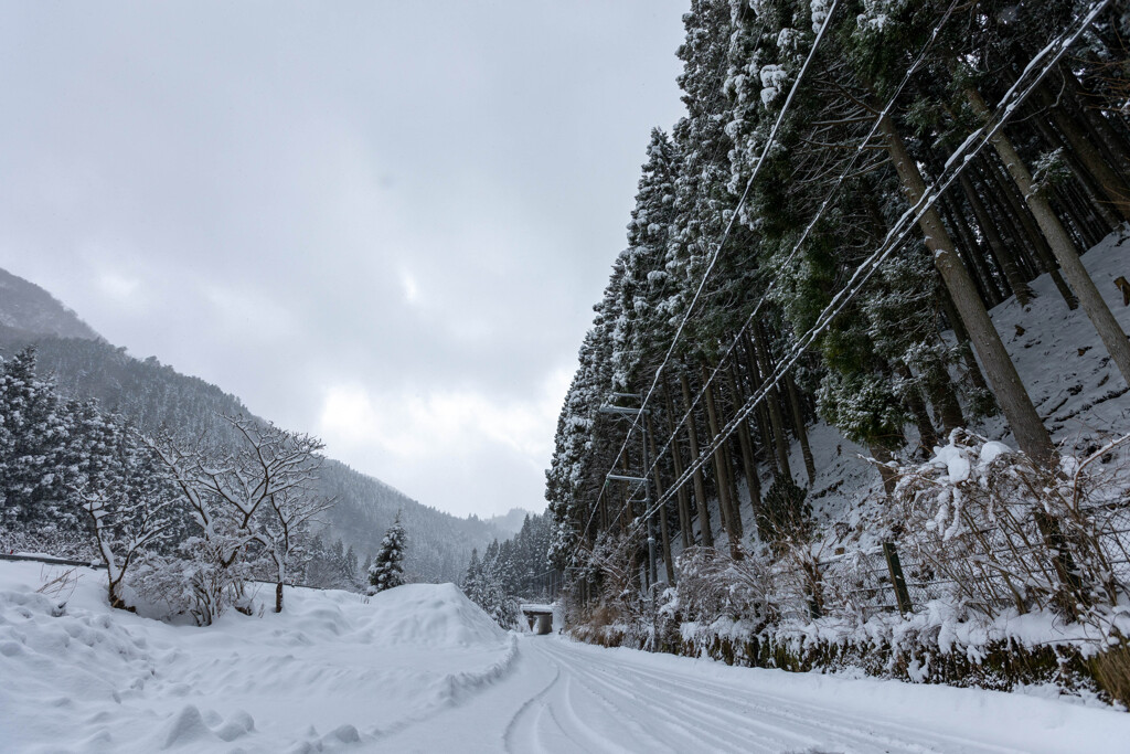 鯖街道の大雪（7）葛川坂下