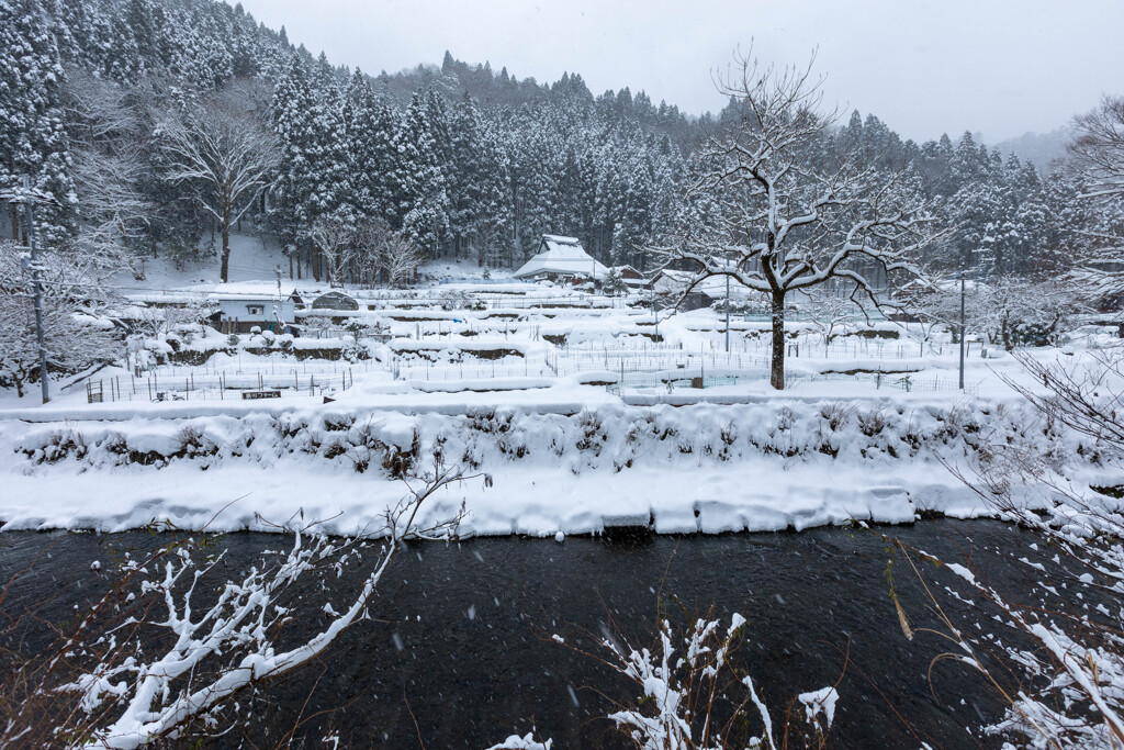 鯖街道の大雪（5）旧道（桂昌寺）
