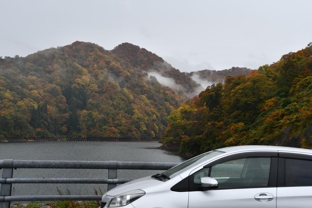 ダム湖の紅葉