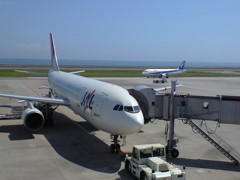 JAL A300＆ANA A320
