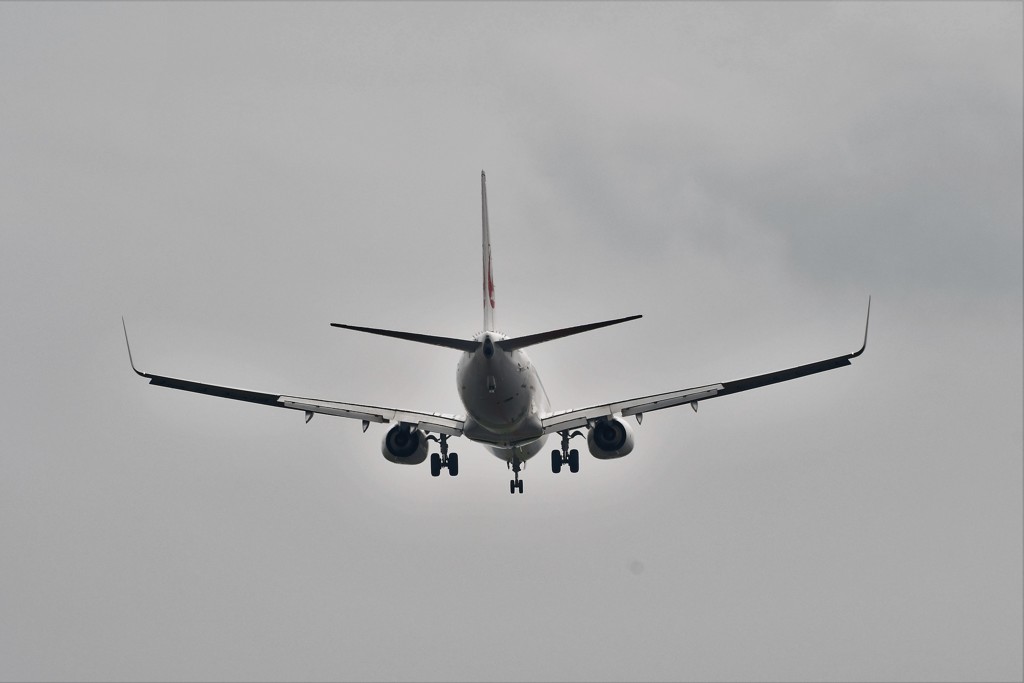 JAL B737 HND RWY22
