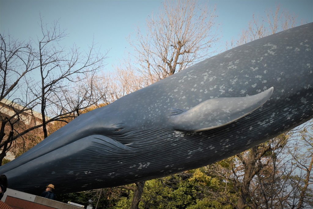 銀座・上野ブラ歩き２５