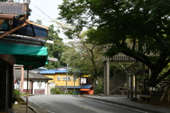 栃木（県南）巡り５