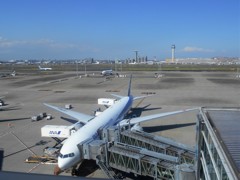羽田国際線ターミナル（娘の絵４）