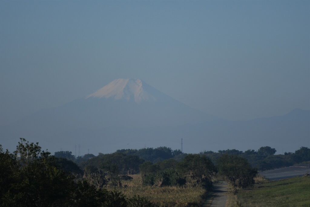 富士山