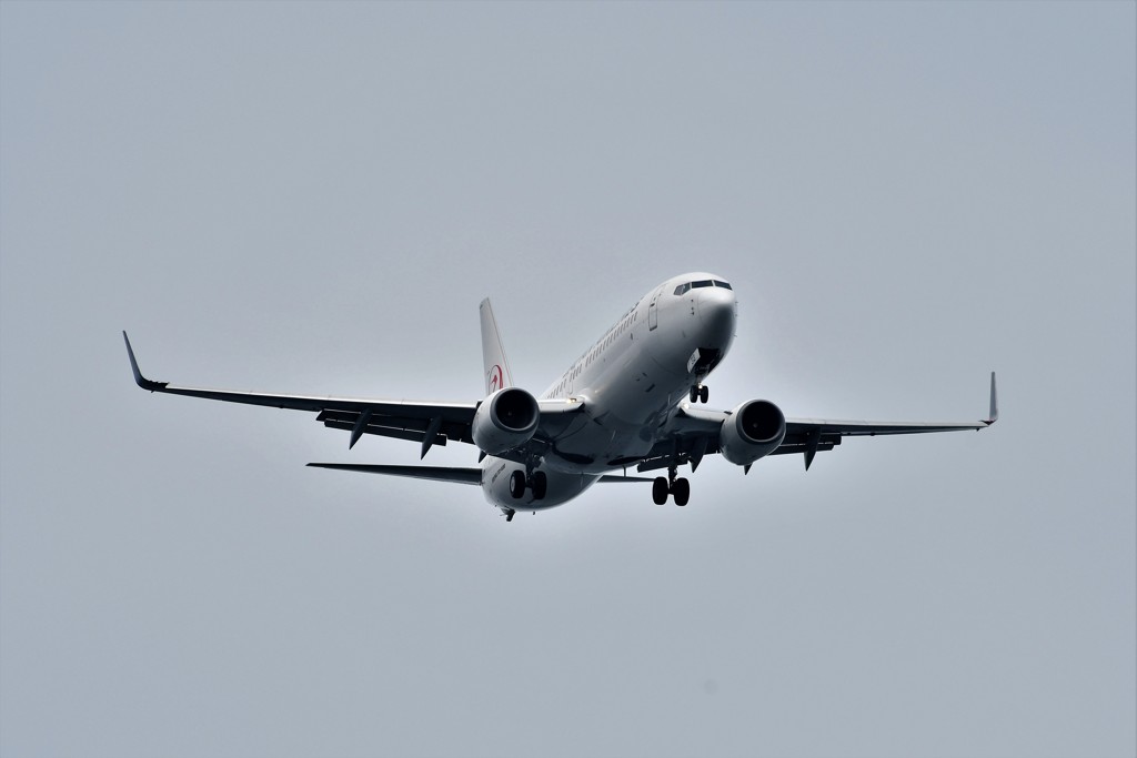 JAL B737 HND RWY22