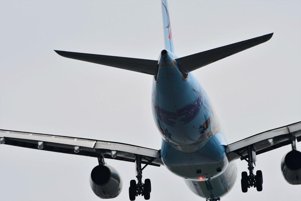 A330(2)